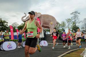 BIB: 
                            <button type="button" onclick="openModal(26528271)" class="btn btn-primary btn-sm float-right btn-popup" data-toggle="modal" data-target=".modal-high-quality">
                        <i class="fas fa-shopping-cart"></i> Add to Cart
                    </button>
                                            <button type="button" onclick="isThisMe(26528271, true)" class="btn btn-success btn-sm float-right btn-popup btn-isme hidden" data-toggle="tooltip" data-placement="bottom" title="นี่คือรูปของคุณใช่ไหม คลิกที่นี่เพื่อเอาเข้าอัลบั้ม">
                        <i class="fas fa-plus"></i> Add to album
                    </button>
                    <button type="button" onclick="isThisMe(26528271, false)" class="btn btn-warning btn-sm float-right btn-popup btn-isnotme hidden">
                        <i class="fas fa-ban"></i> Remove from album
                    </button>